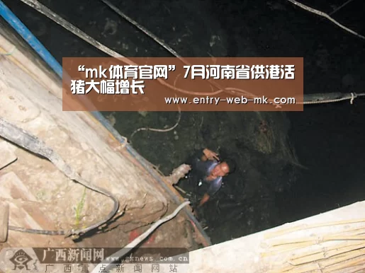 “mk体育官网”7月河南省供港活猪大幅增长(图2) mk体育入口