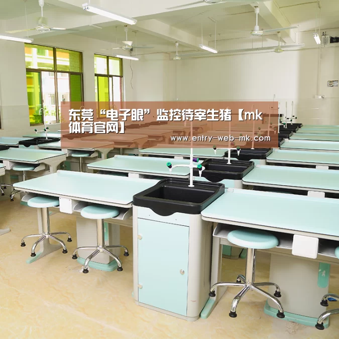 东莞“电子眼”监控待宰生猪【mk体育官网】(图2) mk sports