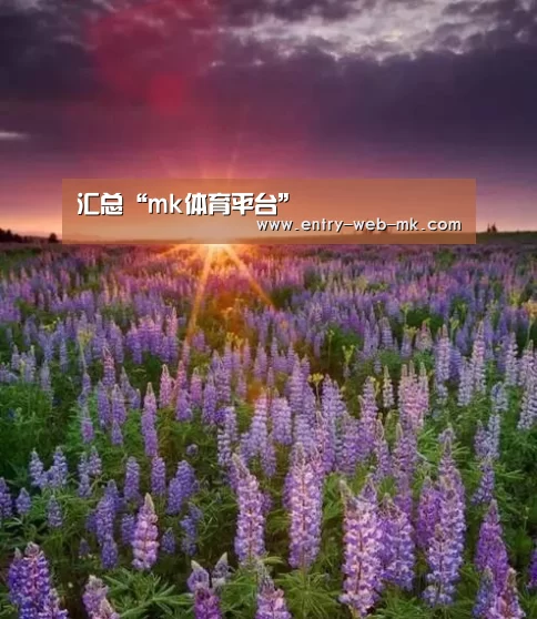 汇总“mk体育平台”(图9) mk体育官网