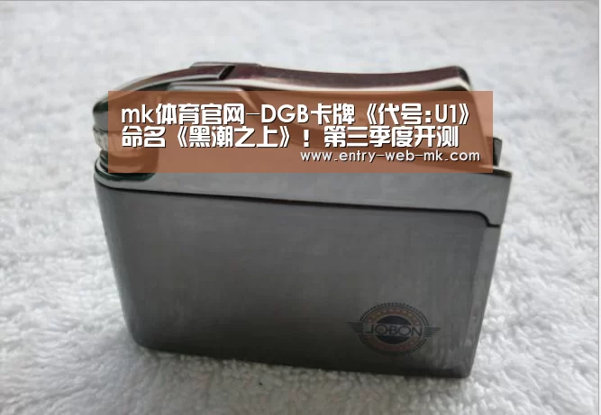 mk体育官网-DGB卡牌《代号:U1》命名《黑潮之上》!第三季度开测(图4) mk sports