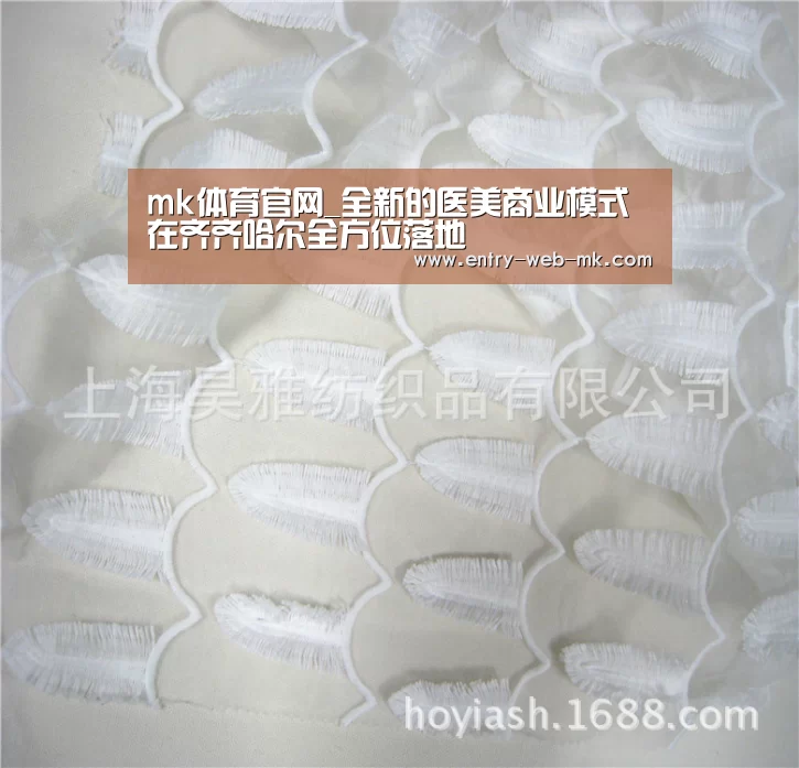 mk体育官网_全新的医美商业模式在齐齐哈尔全方位落地(图3) mk体育官网