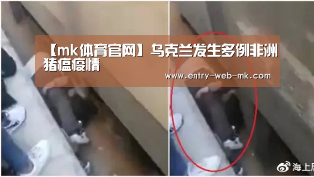 【mk体育官网】乌克兰发生多例非洲猪瘟疫情(图1) mk体育平台